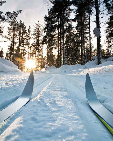 Den Harz auf Ski entdecken