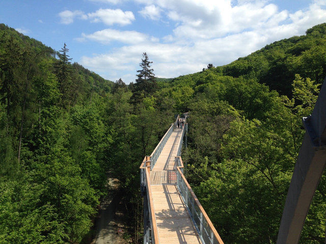 Baumwipfelpfad Bad Harzburg