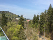 Aussicht vom Baumwipfelpfad Bad Harzburg
