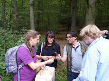 Wanderung im Harzer Wald