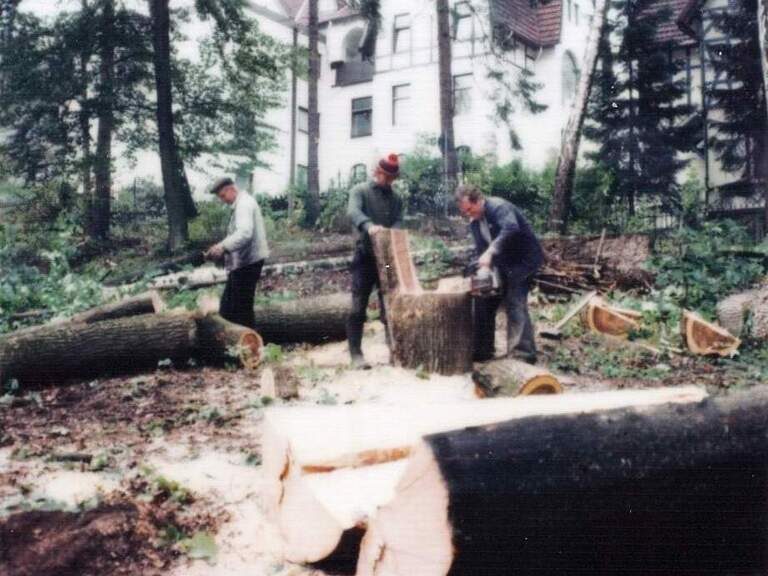 Entstehung Romantischer Winkel Wald Bau