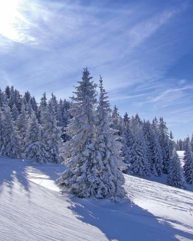Winterlandschaft in Bad Sachsa