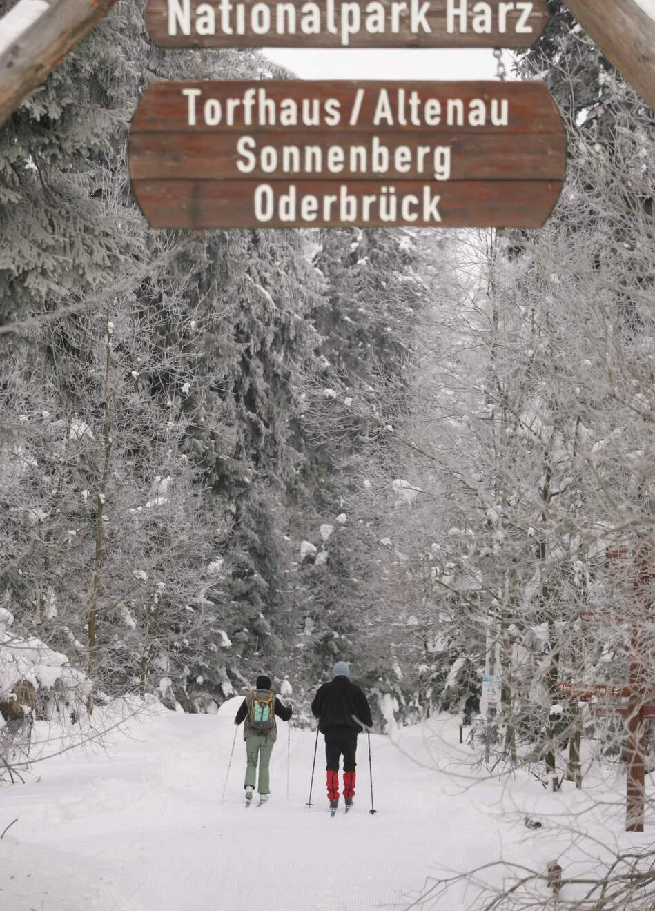 Nationalpark Harz Nationalpark Harz