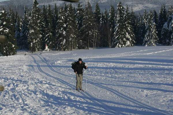 Langlaufen im Harz Langlaufen im Harz