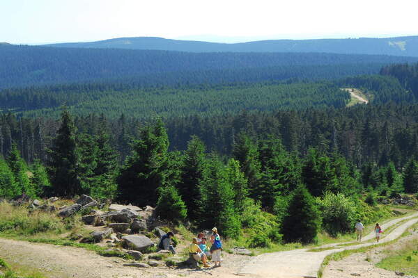 Die Landschaft um den Brocken Die Landschaft um den Brocken