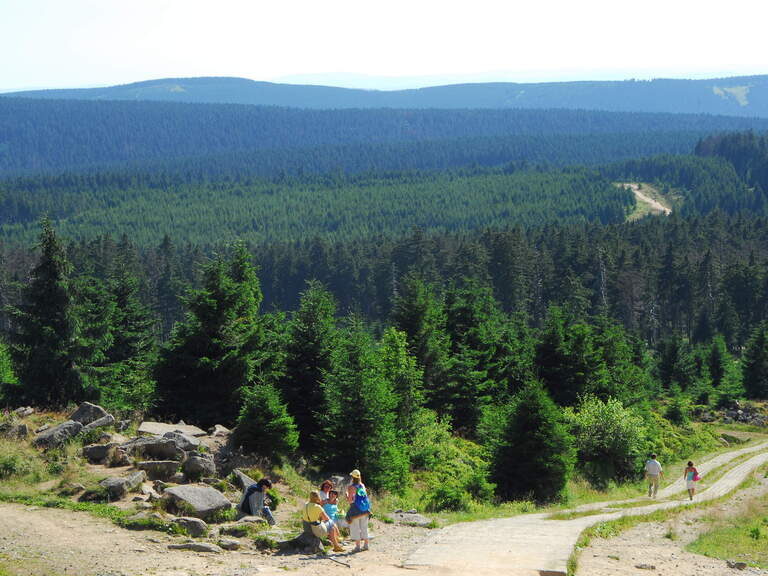 Die Landschaft um den Brocken