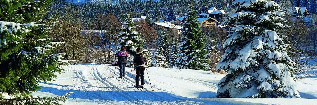Langlaufen in Bad Sachsa Langlaufen in Bad Sachsa