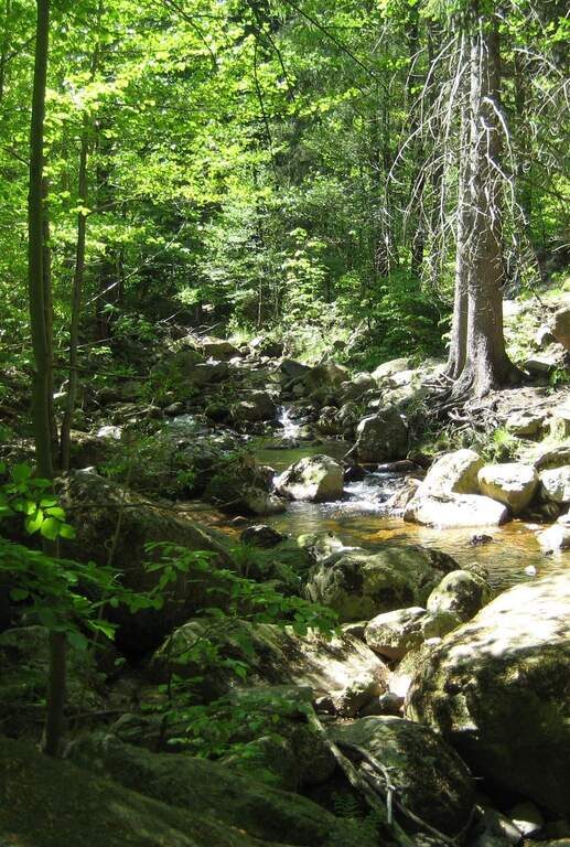 Wandern in Bad Sachsa