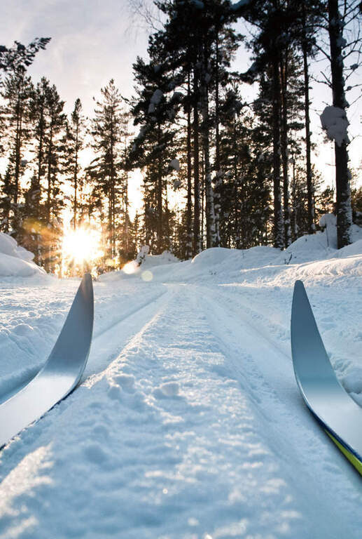 Den Harz auf Ski entdecken