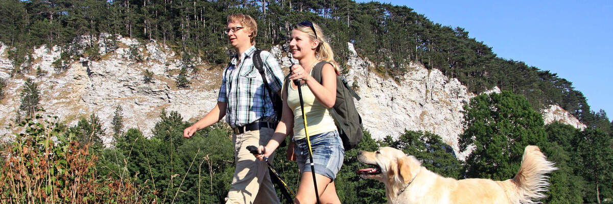 Nodirc Walking Nodirc Walking