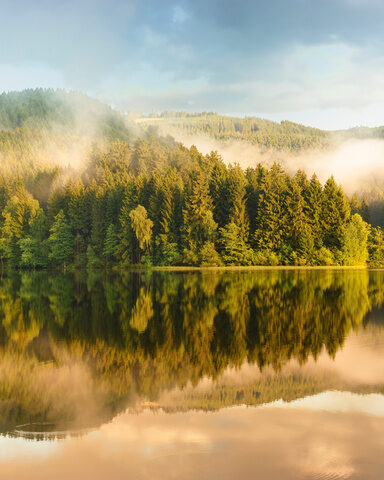 Wandern im einzigartigen Nationalpark Harz