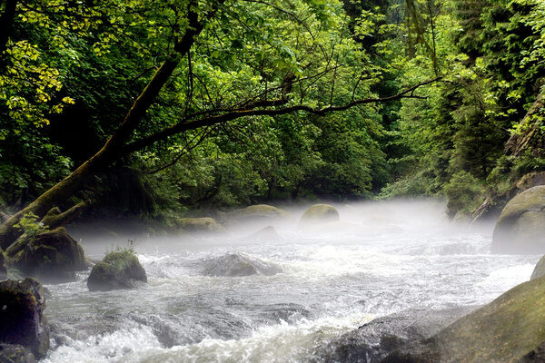 Atemberaubende Landschaft im Harz Atemberaubende Landschaft im Harz