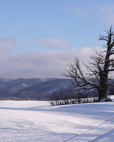 winter harz schneelandschaft