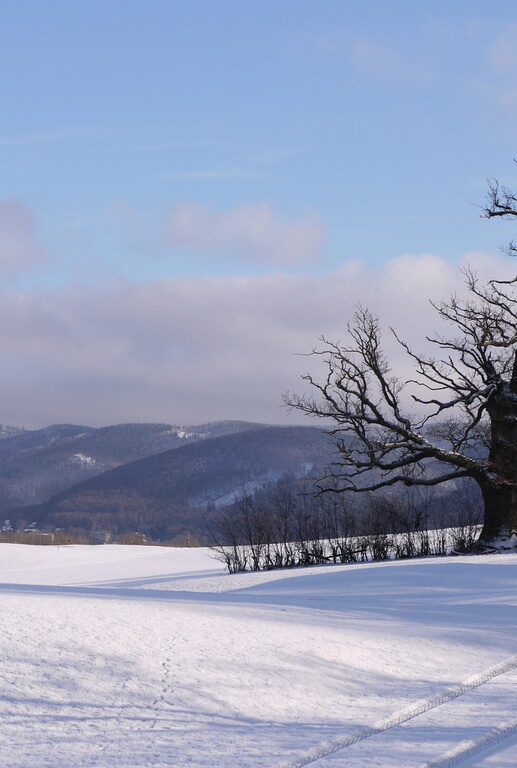winter harz schneelandschaft