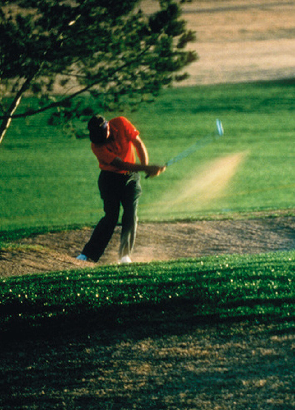 Spaß beim Golfen Spaß beim Golfen