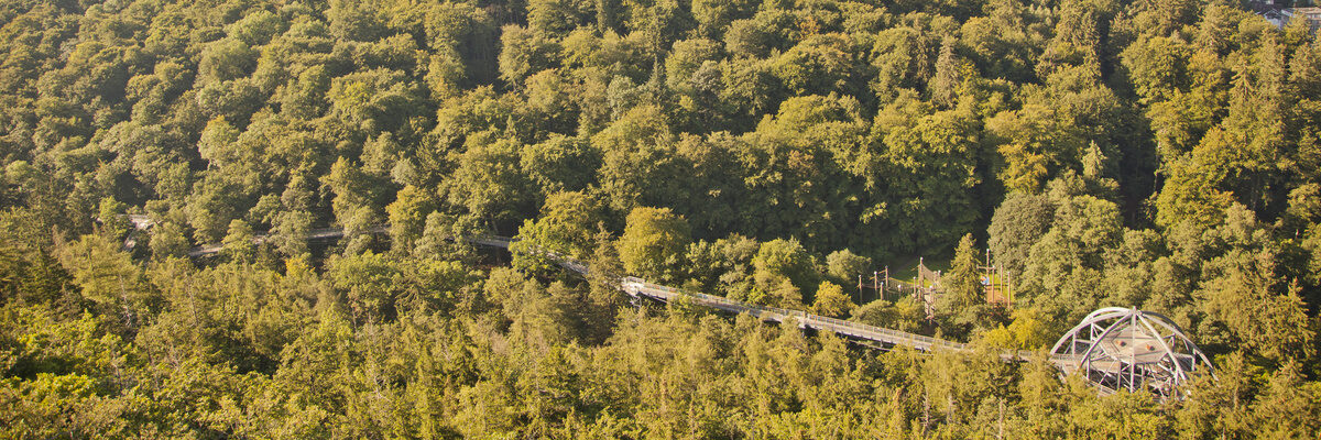 Baumwipfelpfad Bad Harzburg Drohnenaufnahme Baumwipfelpfad Bad Harzburg Drohnenaufnahme