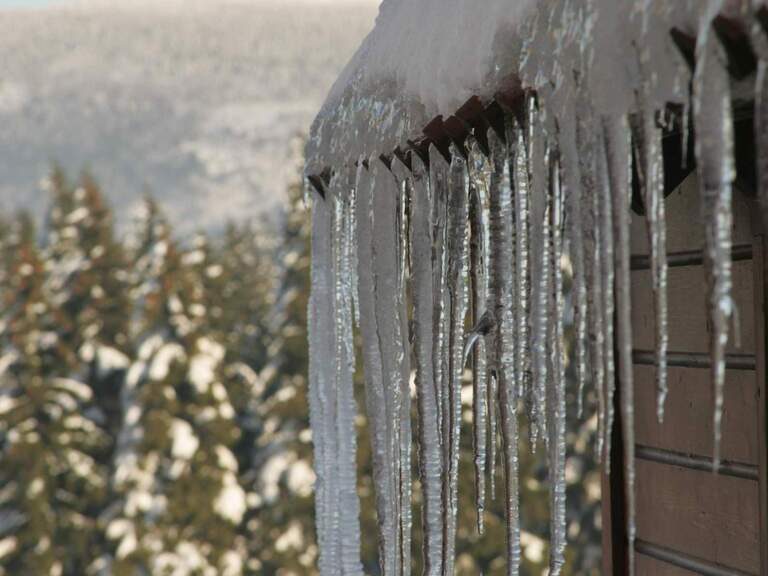 winterwald harz eis wasser schnee