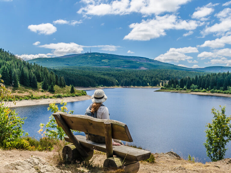 fachwerkhäuser altstadt harz