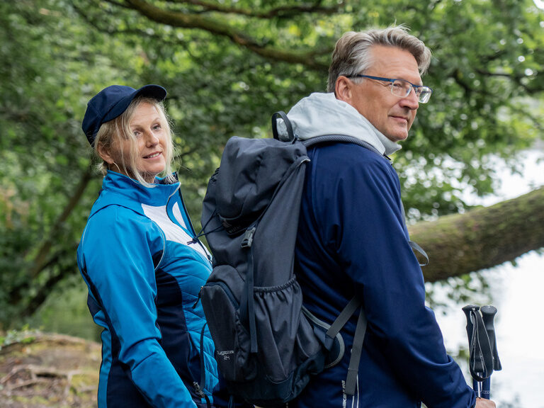 wandern bäume natur bach wald entdecken