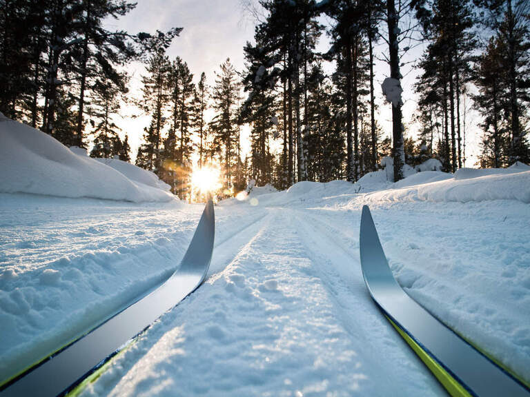 Den Harz auf Ski entdecken