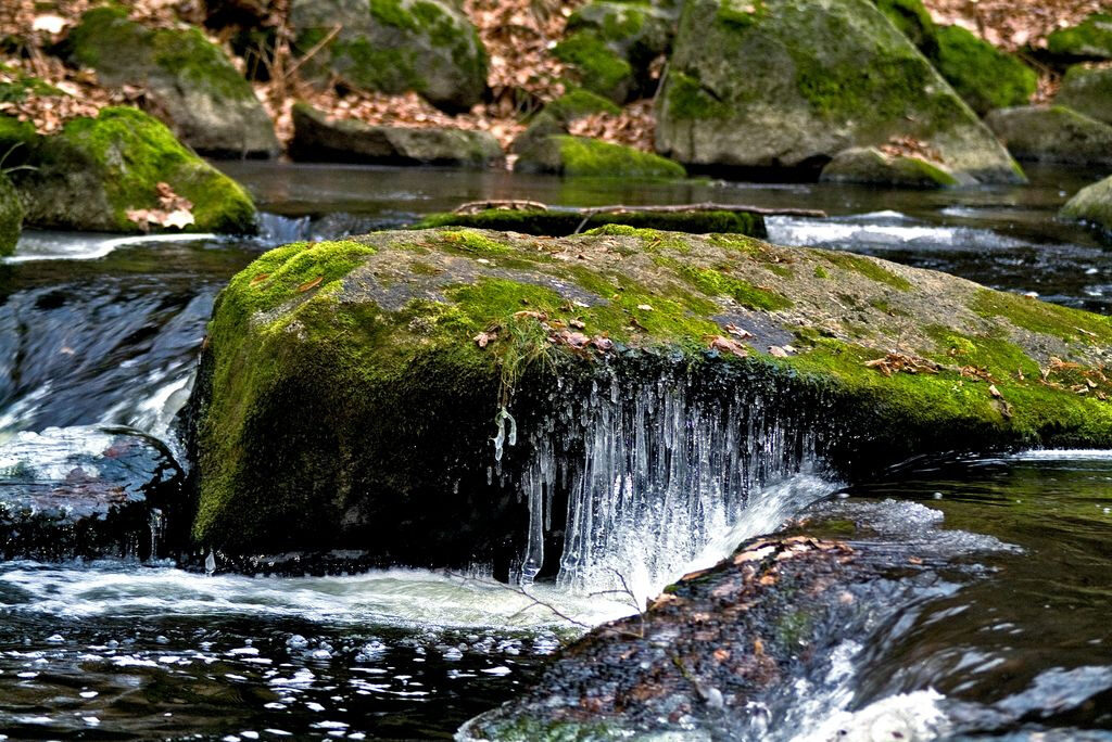 Sehenswürdigkeiten Harz Ausflugszielen Bad Sachsa Highlights