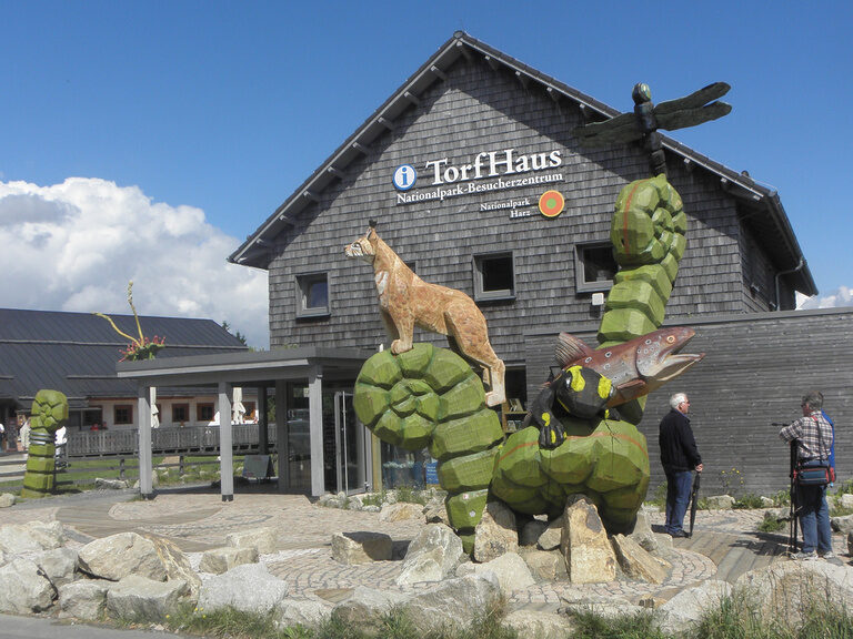 wasser harz natur wandern entdecken naturwunder