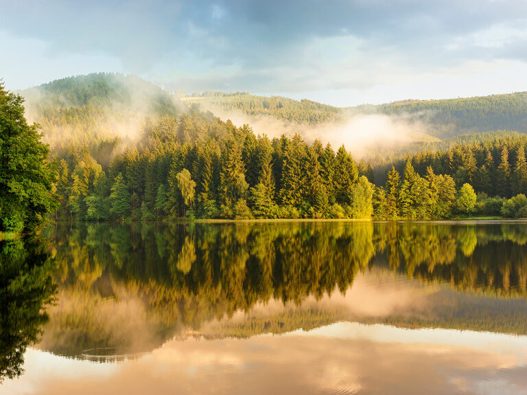 Natur pur im Harz, Nationalpark Harz Wandern im einzigartigen Nationalpark Harz