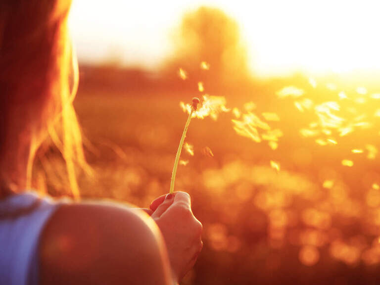 mädchen mit pusteblume abendsonne sommer romantischer winkel