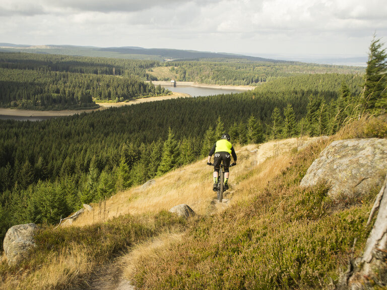 harz felder weite natur drei radler fahrrad fahren