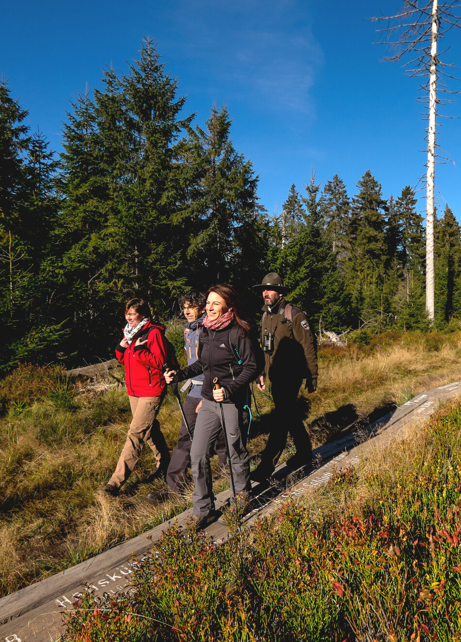 wanderausflug harz wald bäume natur genießen familien ausflug wanderer bergspize