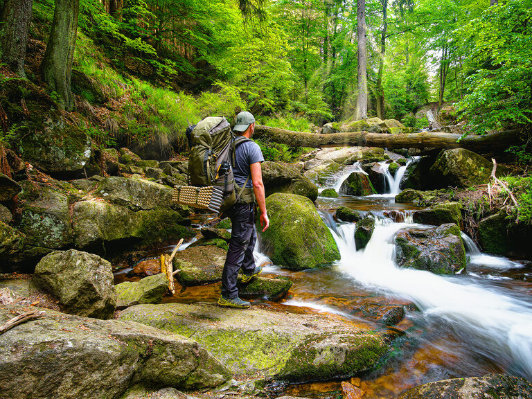 wiese natur genießen wadnern durch harzer wälder