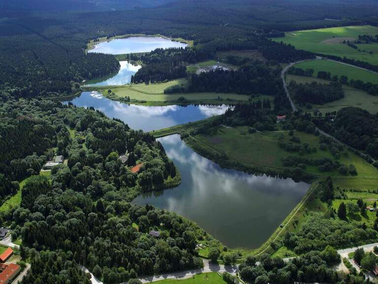 Seelandschaft wald harz