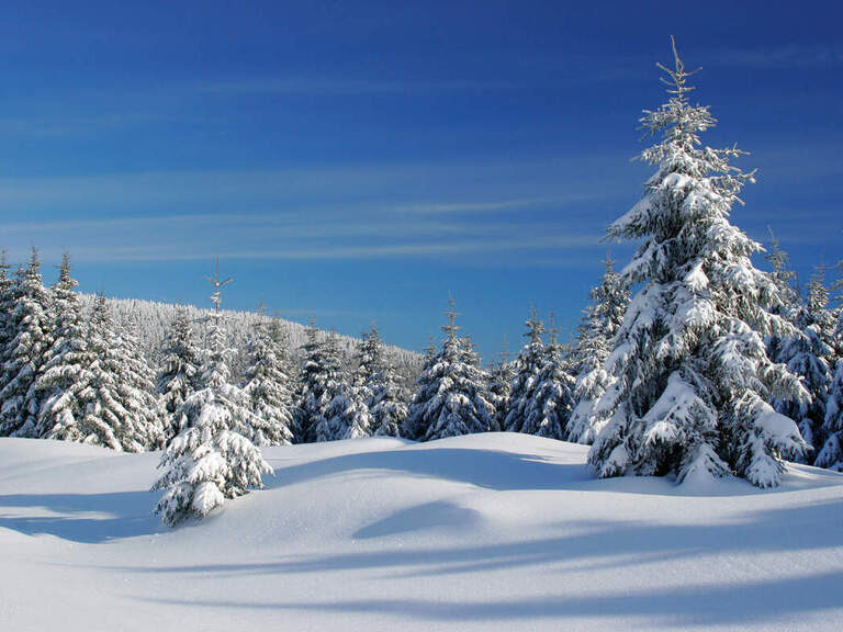 schneebedeckt winter landschaft